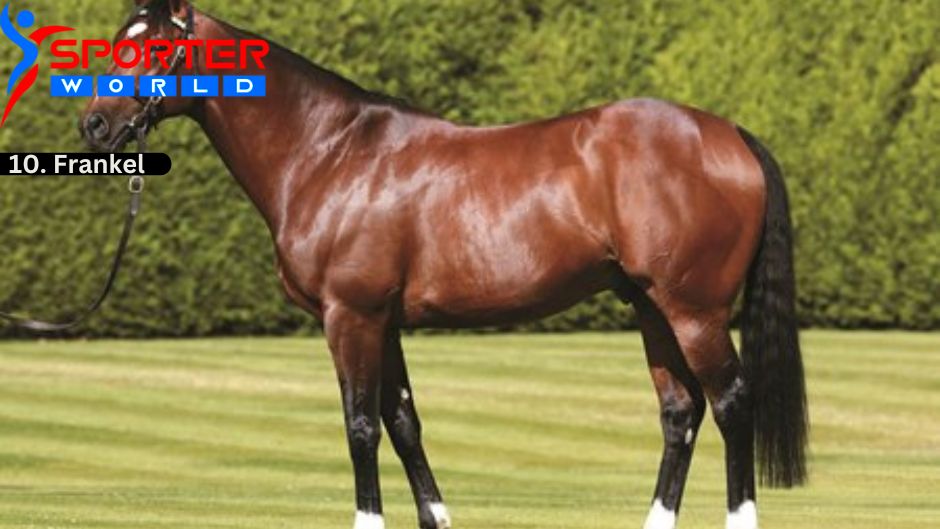 Frankel is a retired champion British Thoroughbred Famous Racehorses and current sire.