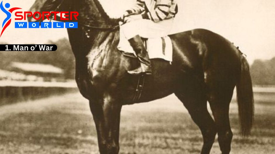 Man o' War was an American Thoroughbred Racehorses