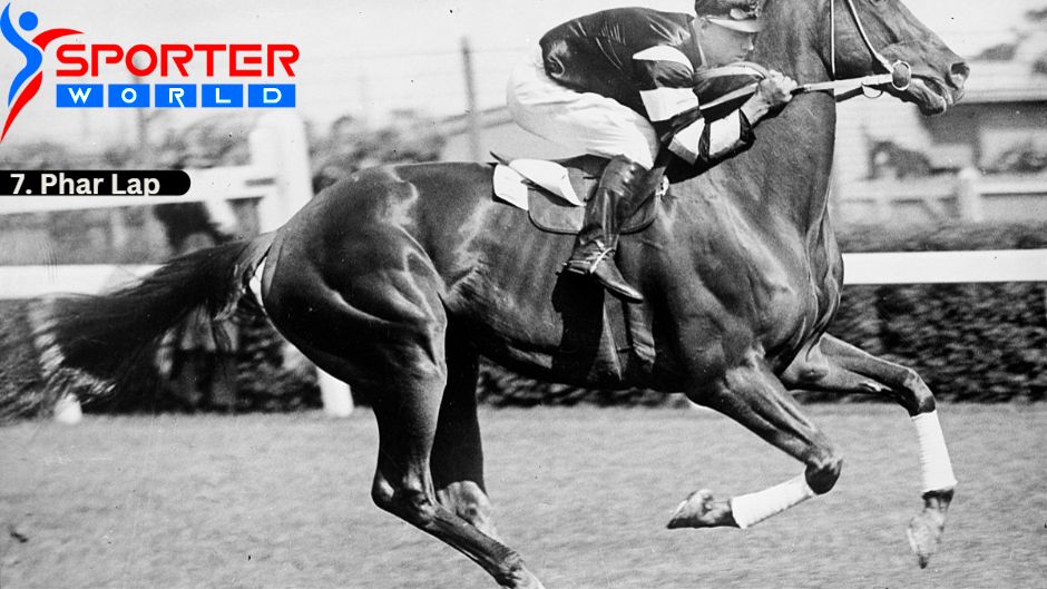 Phar Lap was a champion New Zealand–bred Thoroughbred Famous Racehorses.