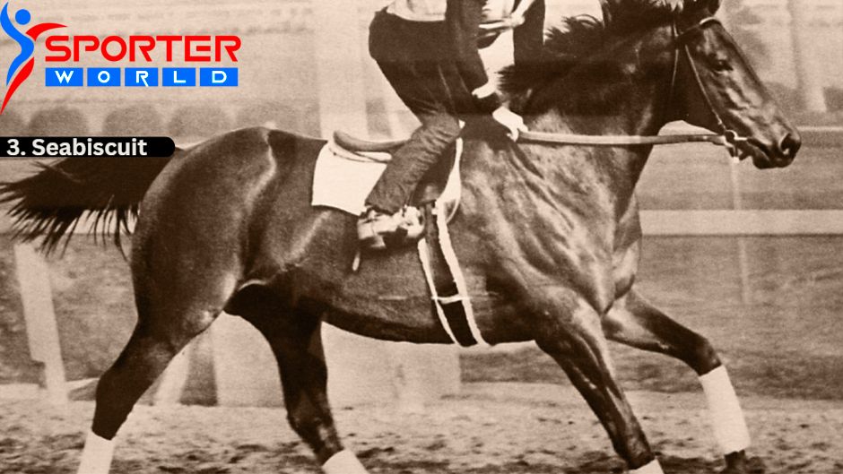 Seabiscuit was a champion thoroughbred horse in the United States.