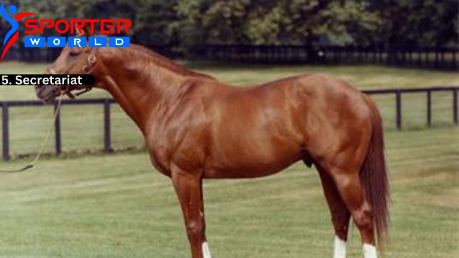 Secretariat, also known as Big Red, was a champion American Racehorse.