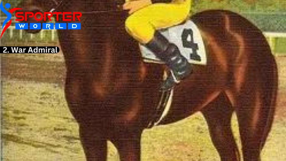 War Admiral was a champion American Racehorses.