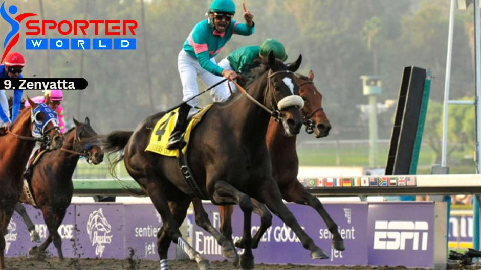 Zenyatta is a champion American Thoroughbred Famous Racehorses.