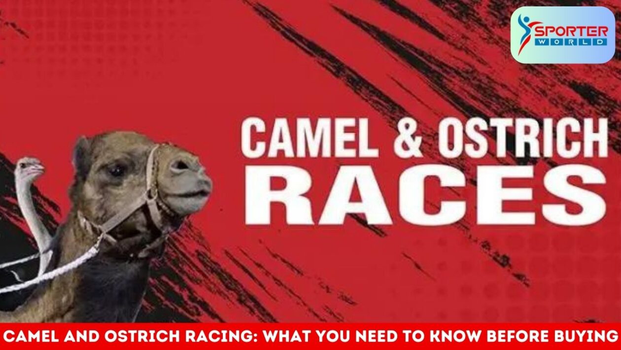camel and ostrich racing: What You Need to Know Before Buying