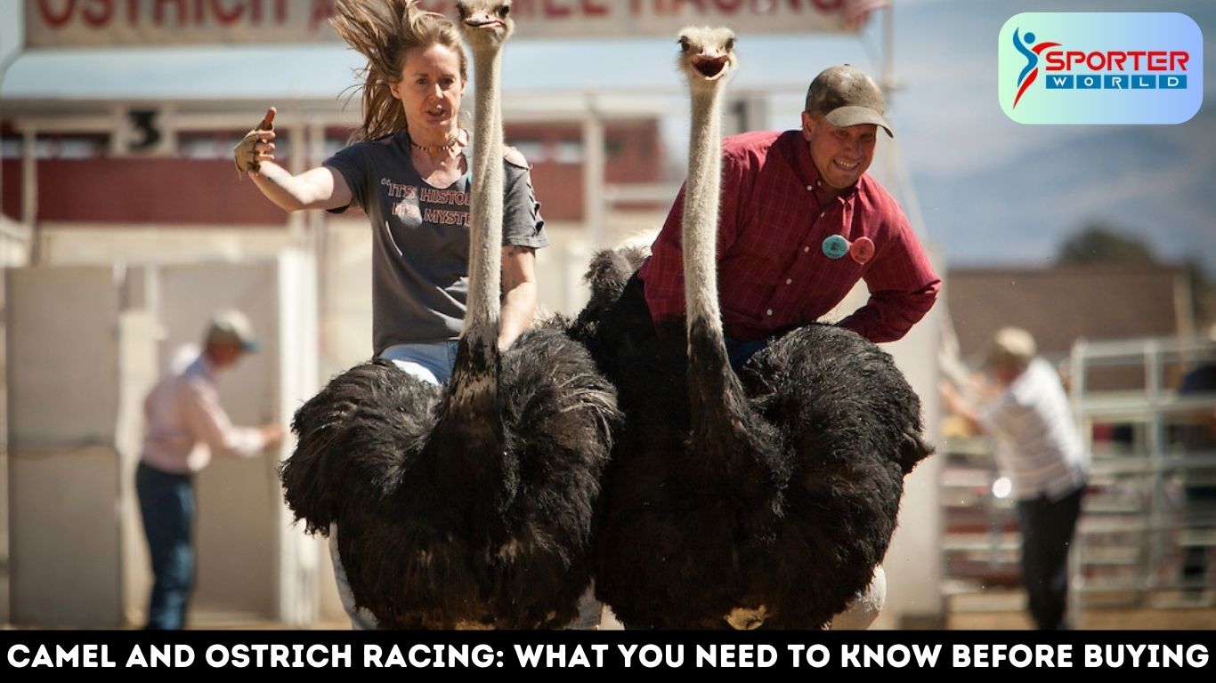 camel and ostrich racing 2023