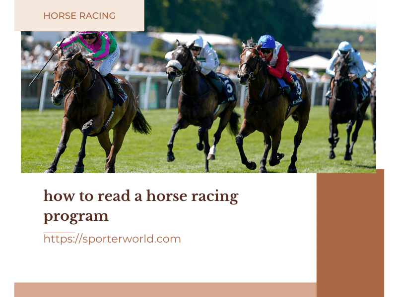 how to read a horse racing program